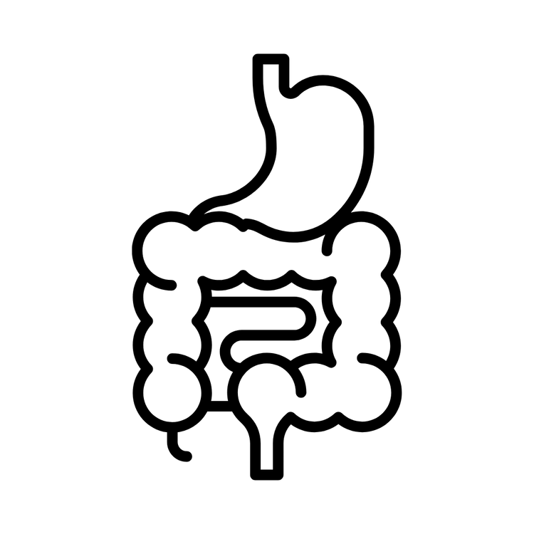 Digestivo
