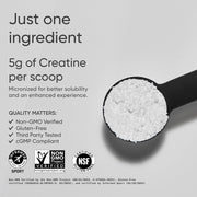 Creatina Monohidrato Sports Research 60 servicios